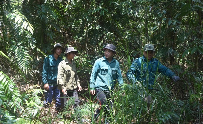 duoc phep to chuc du lich sinh thai nghi duong giai tri trong rung dac dung 152943 390 164057