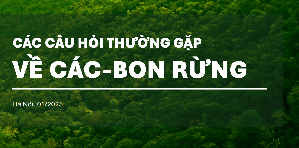 Handbook Các bon rừng