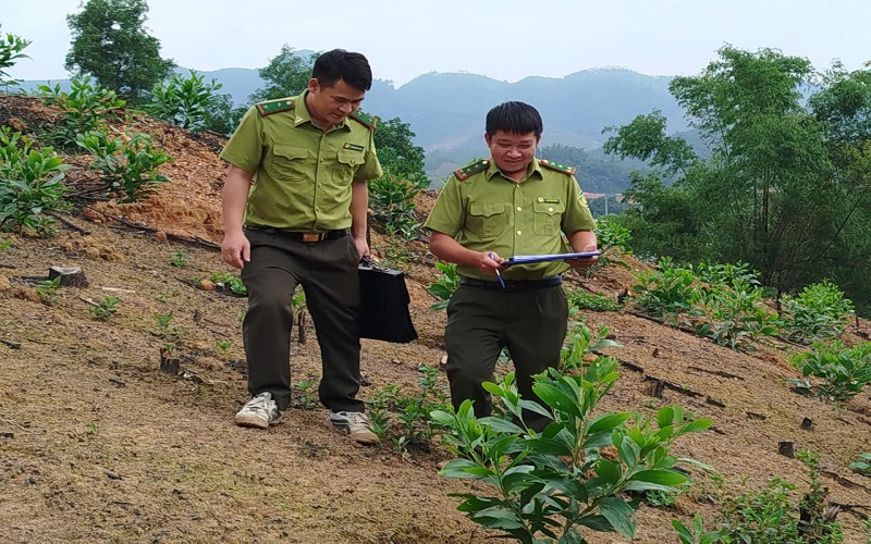 nghiem