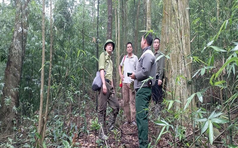 tuan tra3