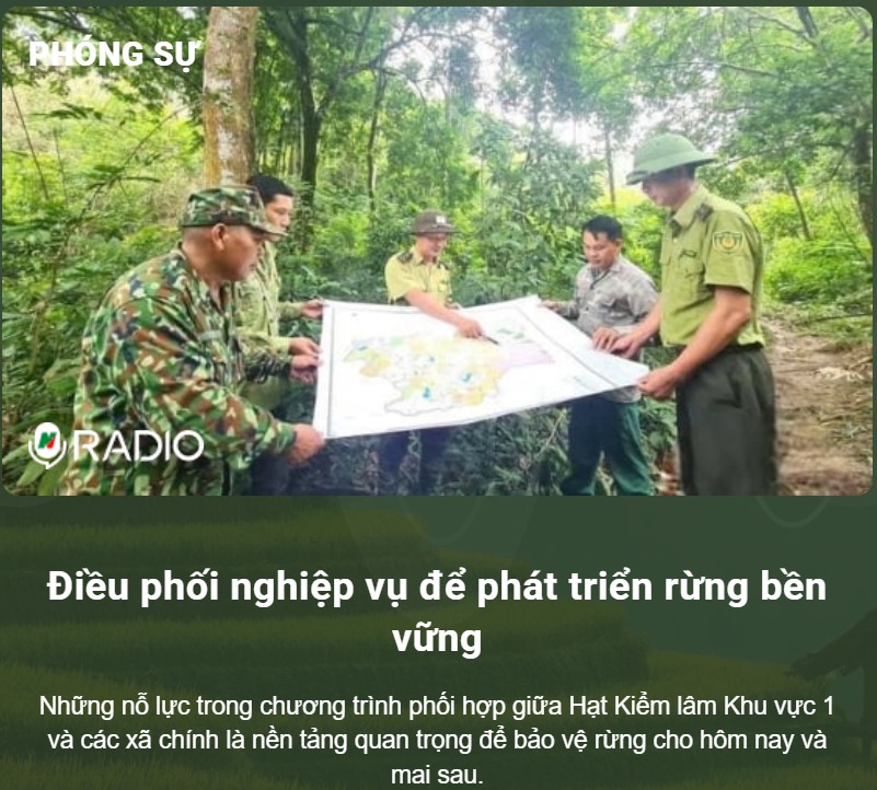 Điều phối nghiệp vụ để phát triển rừng bền vững