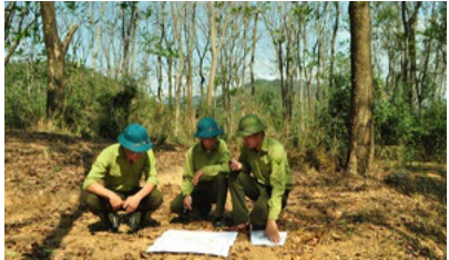 Sẽ có quy định mới về tổ chức, nhiệm vụ của Kiểm lâm