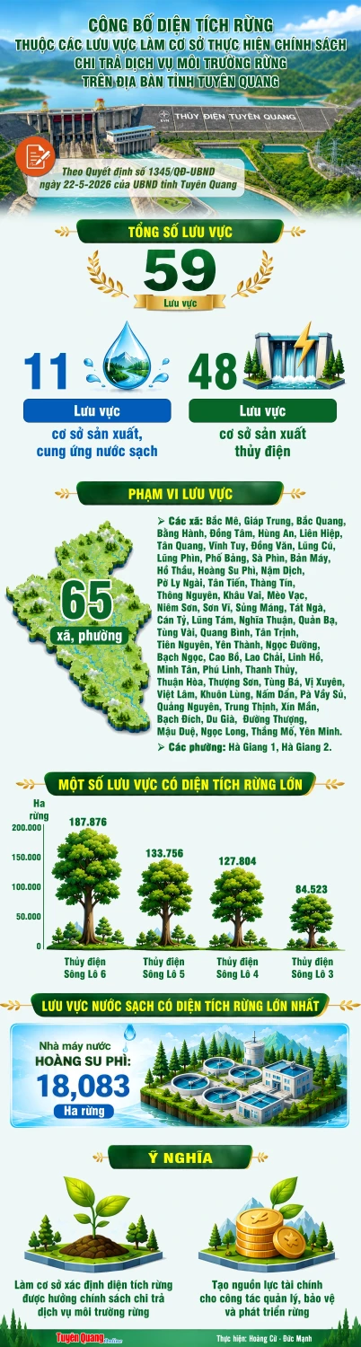 info cong bo dien tich rung v1 20260609175747