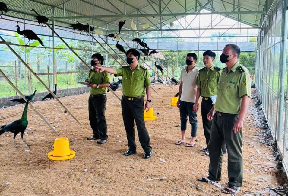 HẠT KIỂM LÂM KHU VỰC XI, TỔNG KIỂM TRA, RÀ SOÁT HOẠT ĐỘNG NUÔI ĐỘNG VẬT RỪNG