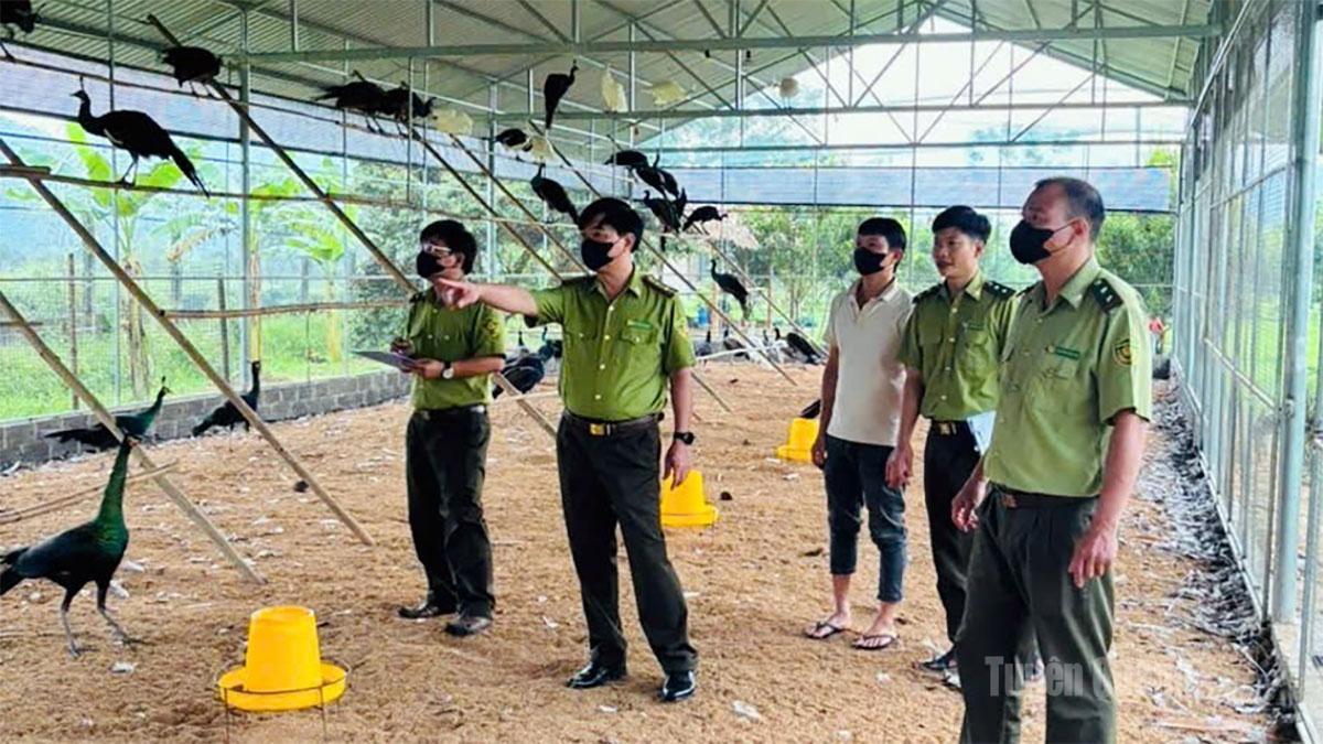 Bảo vệ động vật hoang dã
