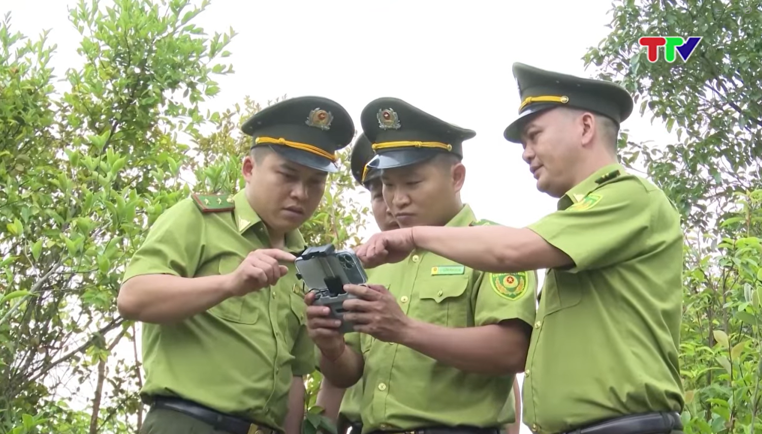 Số hóa quản lý rừng - giữ màu xanh từ những dữ liệu số