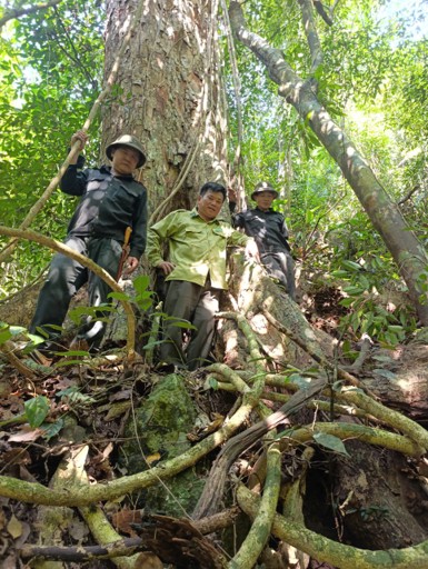 hlb7
