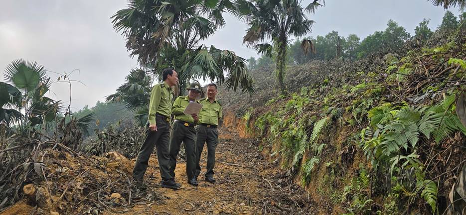 Hạt Kiểm lâm khu vực IV tăng cường thống kê lâm sản phục vụ phát triển kinh tế từ rừng