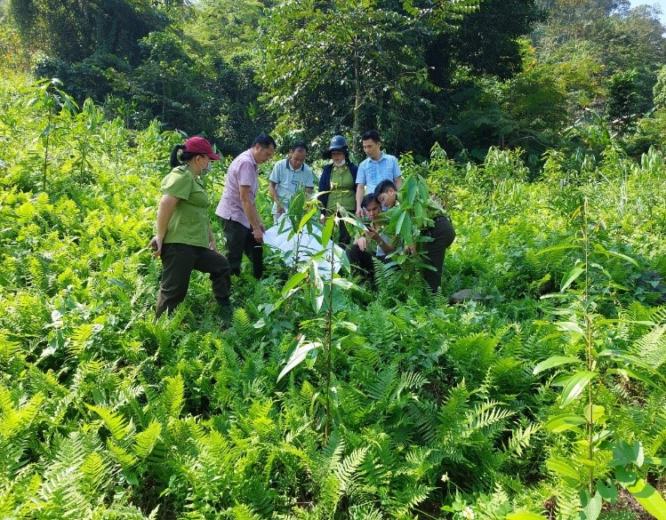 Ảnh Kỷ Yếu 50 Năm