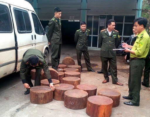 Ảnh Kỷ Yếu 50 Năm