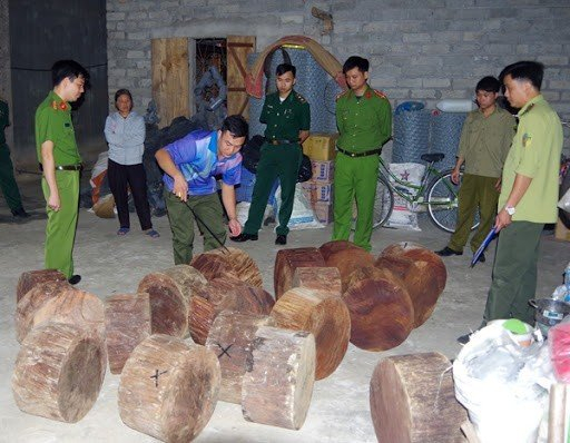 Ảnh Kỷ Yếu 50 Năm