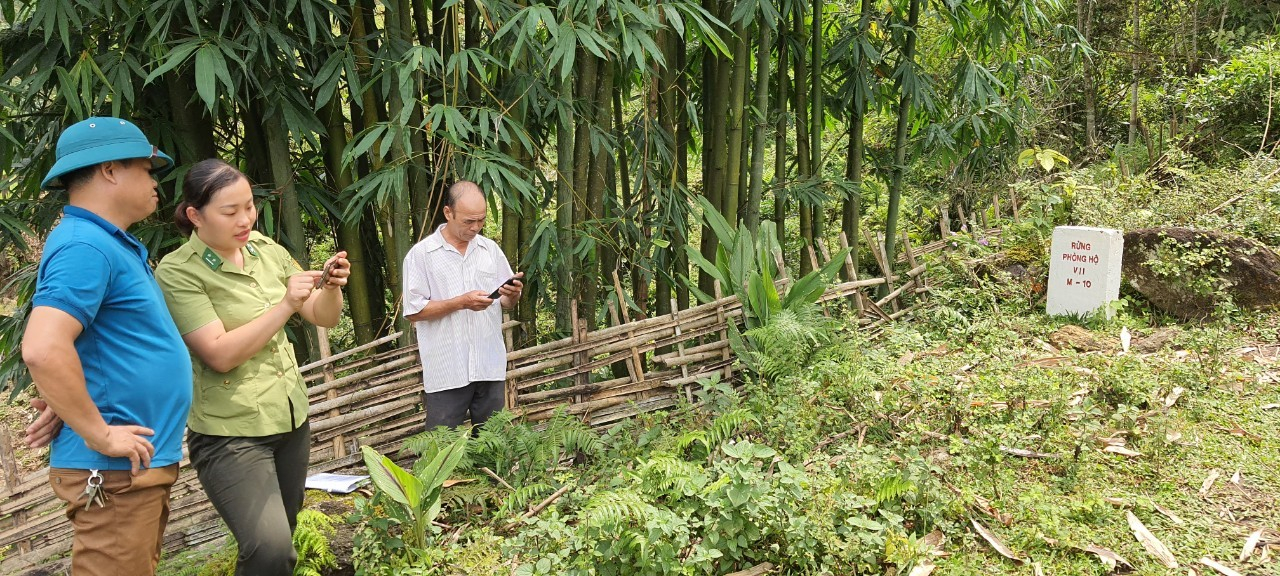 Ảnh Kỷ Yếu 50 Năm