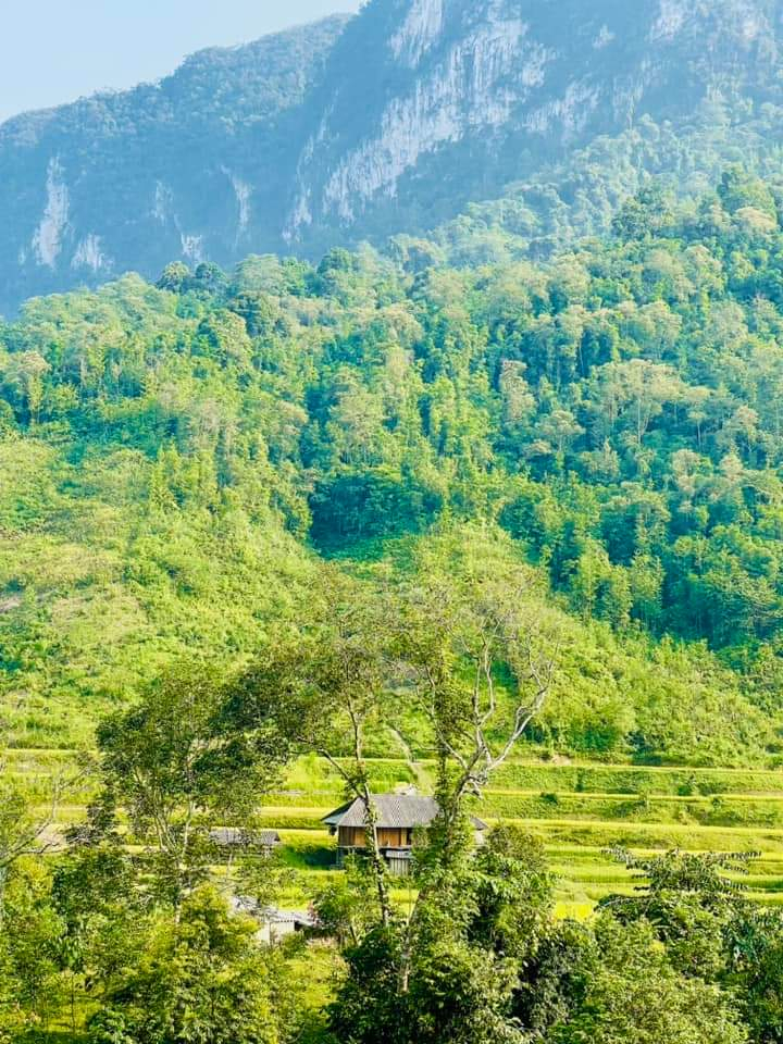 Ảnh Kỷ Yếu 50 Năm