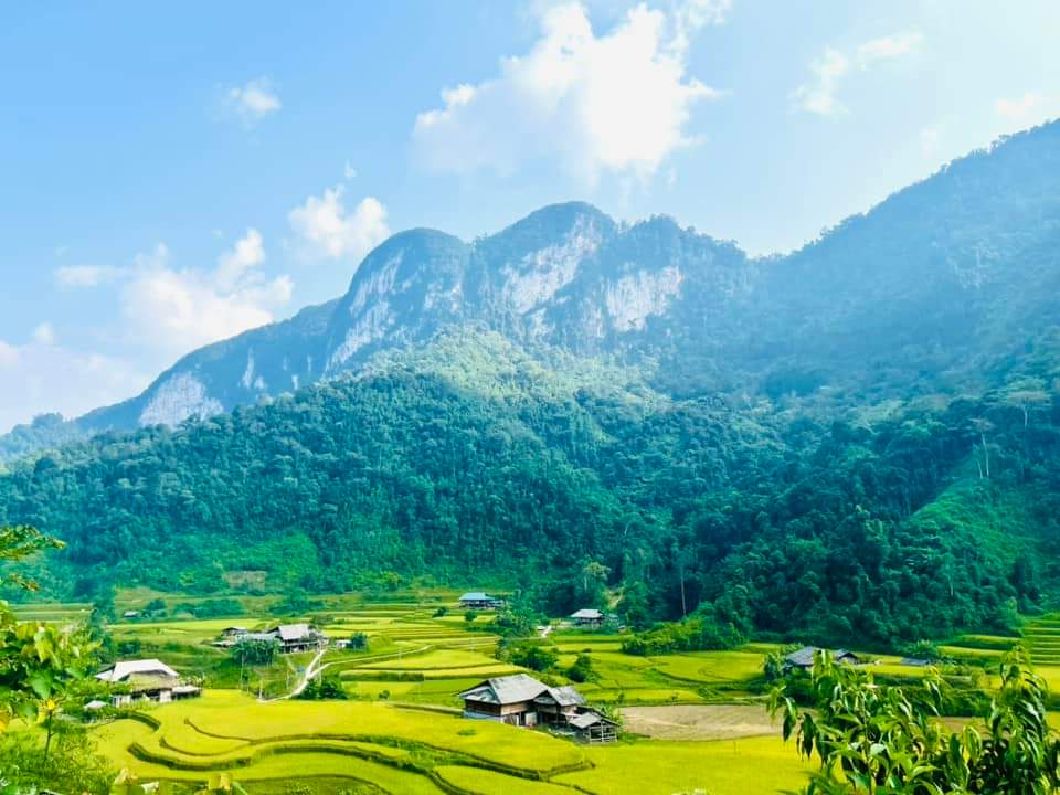 Ảnh Kỷ Yếu 50 Năm