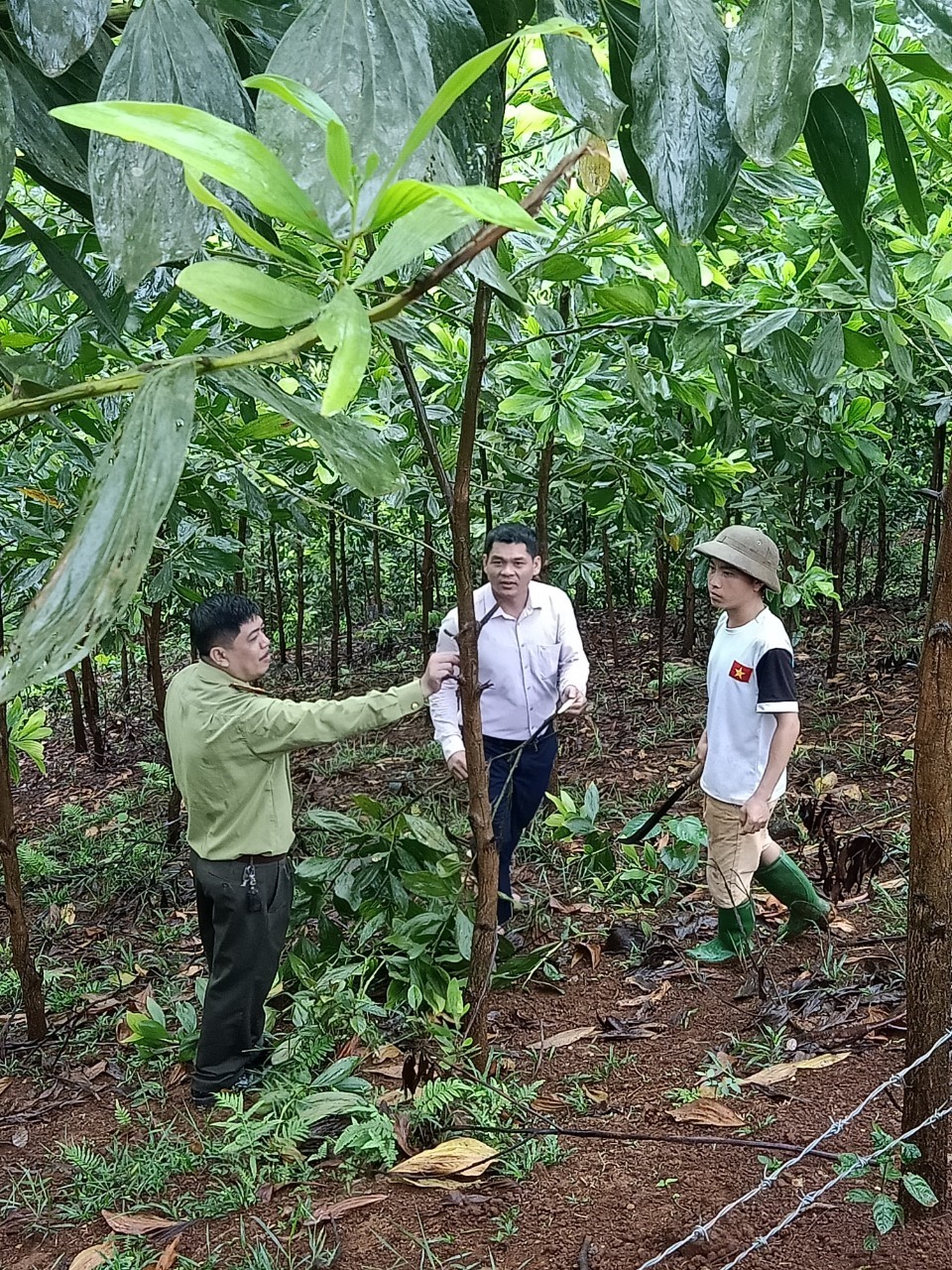 Ảnh Kỷ Yếu 50 Năm