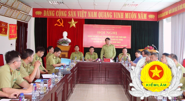 Công tác tuần tra bảo vệ rừng