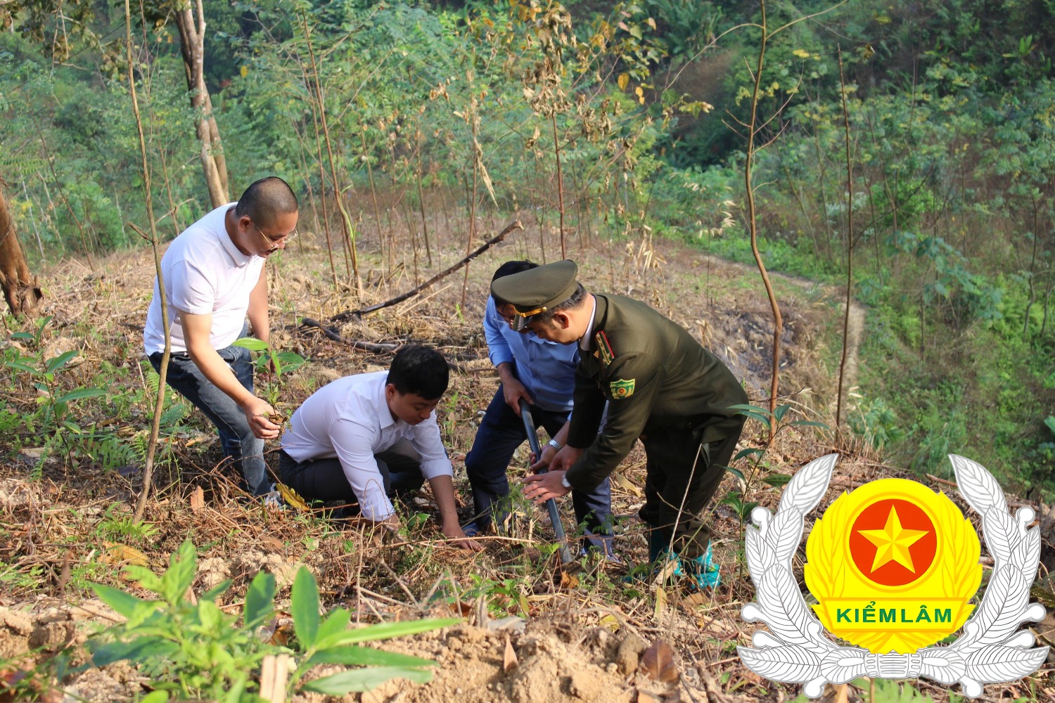 Ảnh Dâng hương và Trồng cây tại xã Thanh Thuỷ huyện Vị Xuyên
