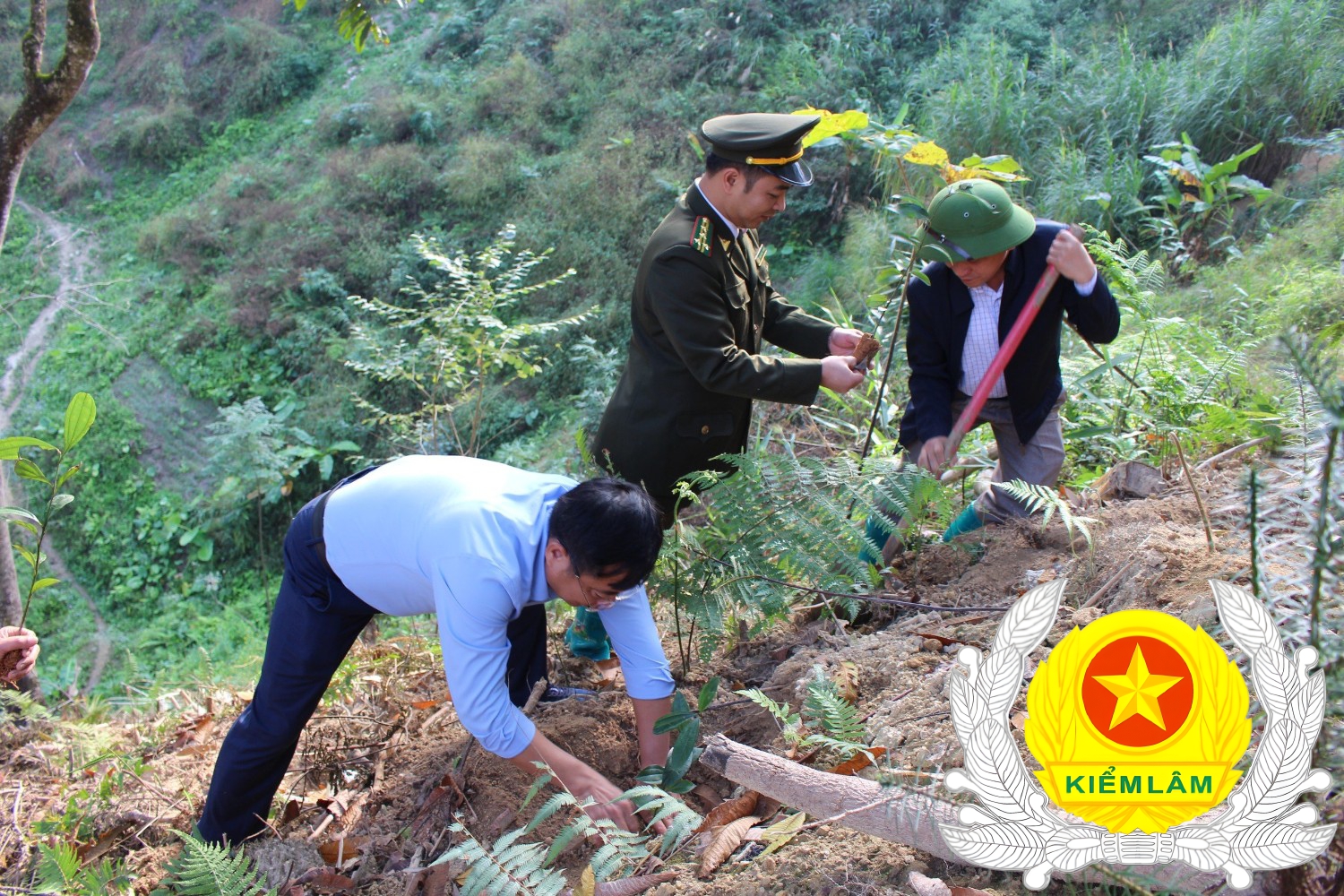 Ảnh Dâng hương và Trồng cây tại xã Thanh Thuỷ huyện Vị Xuyên