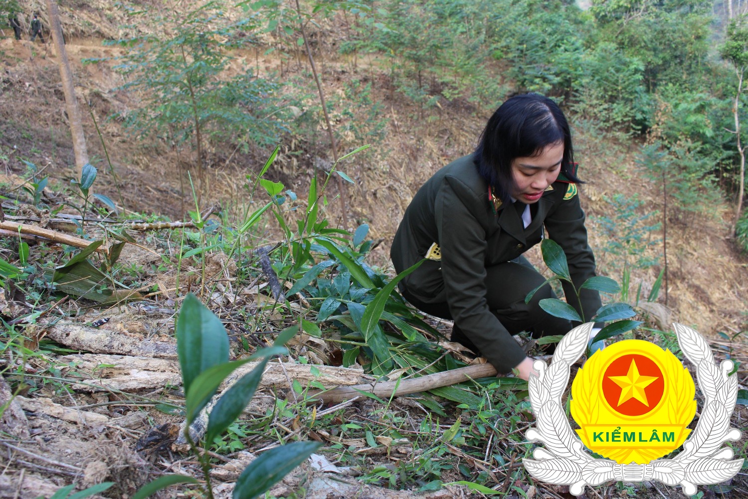 Ảnh Dâng hương và Trồng cây tại xã Thanh Thuỷ huyện Vị Xuyên