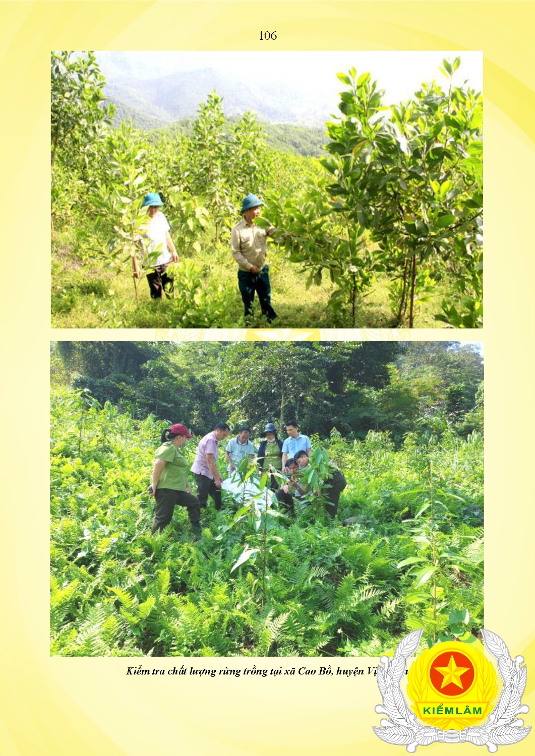 Kỷ Yếu 50 Năm